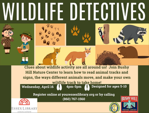 Wildlife Detectives 